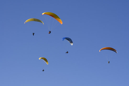 Paragliders flying in formation