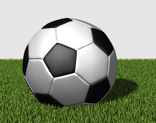 Fu&szlig;ball auf gr&uuml;nem Rasen