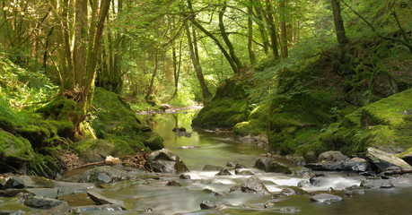 Waldfrieden