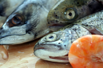 Frischer Fisch
