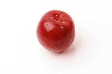 apple 19