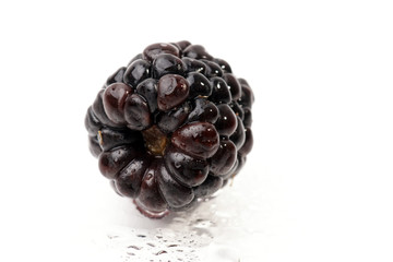 blackberry 