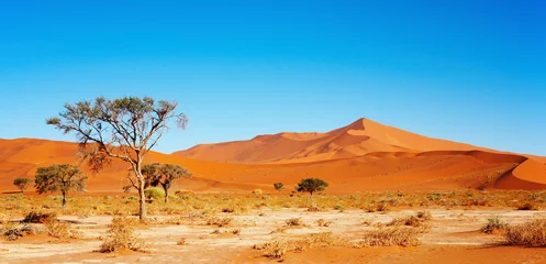 Crédence de cuisine en verre imprimé Sécheresse Namib Desert