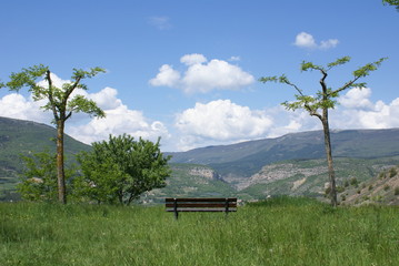 paysage de montagne