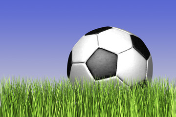Fototapeta premium Fußball im Gras
