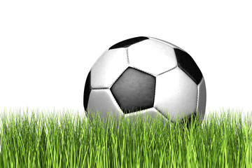 Fu&szlig;ball im Gras