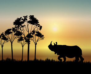 Rhino at Sunrise