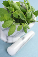 herbs