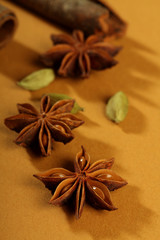 indian spices - cinnamon sticks, cinnamon, star anise