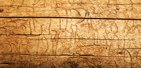 old wood background