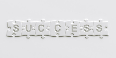 Puzzle pieces with text written on them