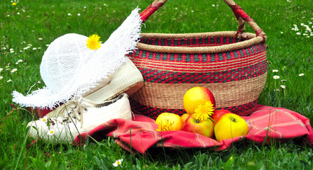 Picknick auf der Blumenwiese