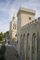 Fototapeta na wymiar fortyfikacje Avignon