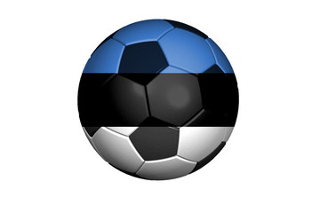 Fototapeta premium Estland Fussball WM 2010