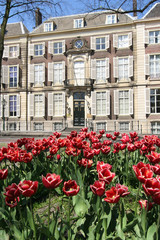 Fototapeta na wymiar Spring in The Hague