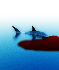 Shark With Blood 3