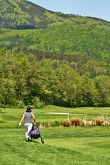 Naklejka na ściany i meble Golfer on golfcourse with golf bag