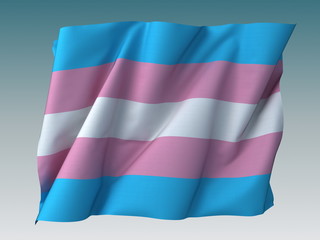 Transgender Flag