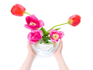 Woman hands holding vase with flowers