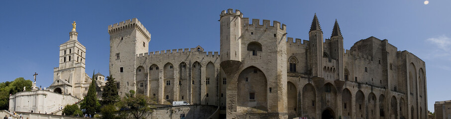 Fototapeta na wymiar panoramiczny Avignon