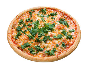 Tasty Italian pizza