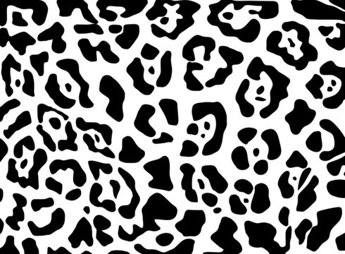 Vector - jaguar texture Black and White