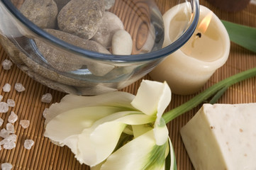 welness products