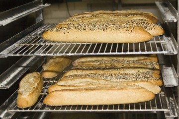 Boulangerie au feu de bois-Jacques Ribieff 11.dng