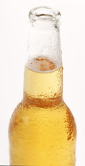 beer 23