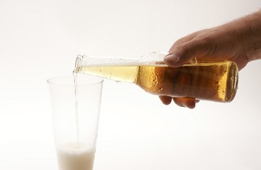 beer 11
