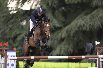jumping9322