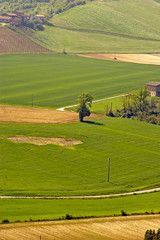 nel verde