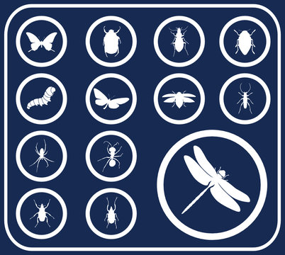 Set buttons. Insects  