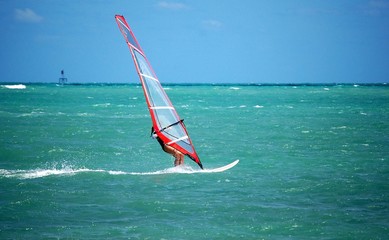 Young Woman Windsurfer