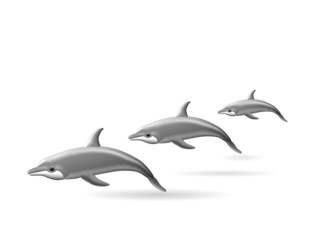 delfin © Luisa Masala