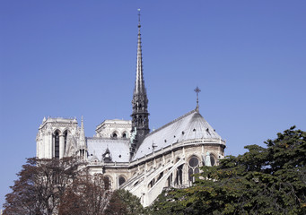 Fototapeta na wymiar Notre Dame De Paris, Gothic Cathedral, France