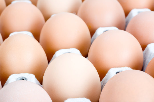 Brown eggs, isolated
