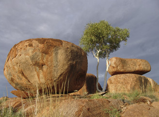 Boulder and Tree