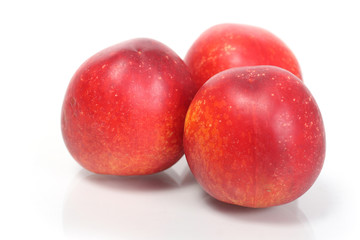 nectarina