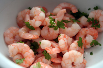 Shrimps