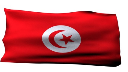 Tunis Flag bg