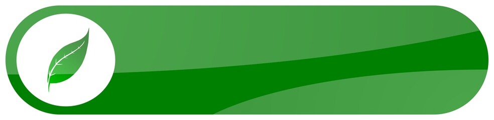 Fototapeta premium green flora aqua button