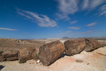 Petrified Woods in Patagonia © buteo