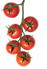 tomate grappe 3