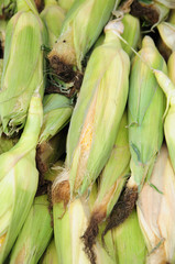 sweet corn