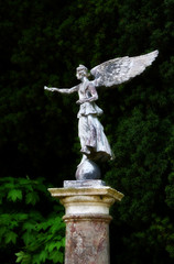 stone angel