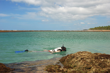 snorkeling taipu