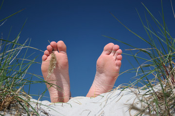 Happy feets