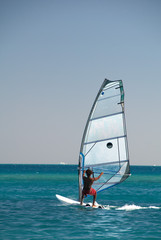 windsurfer