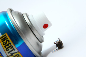 insecticide
